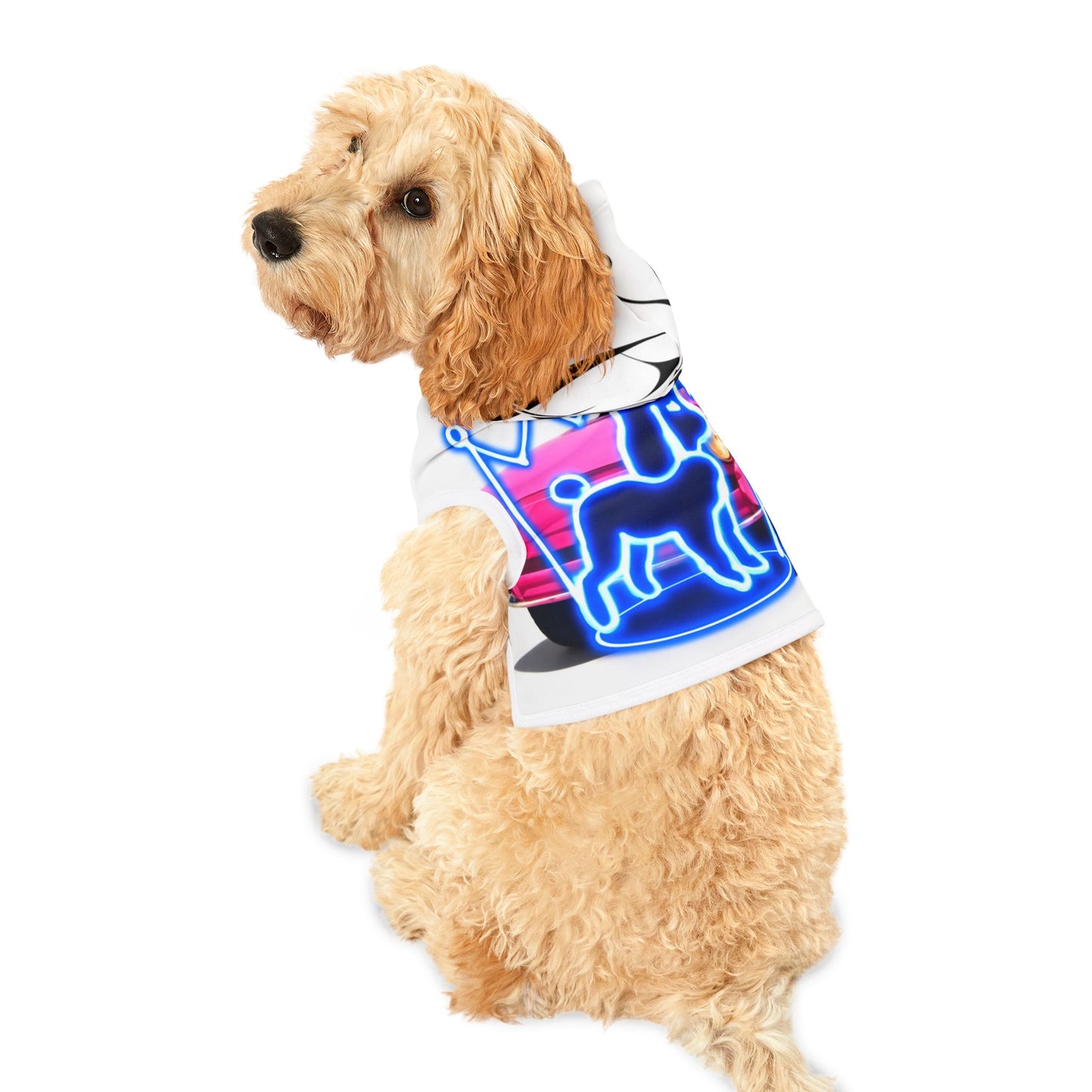 Pet Hoodie