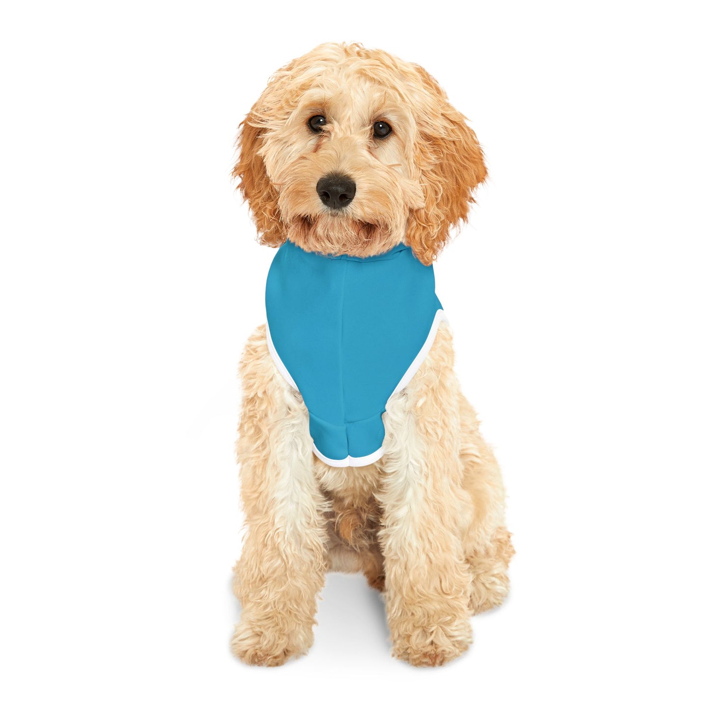 Blue 'Dog Trainer' Pet Hoodie - Cute Dog Walking Graphic Hoodie for Small Dogs & Cats