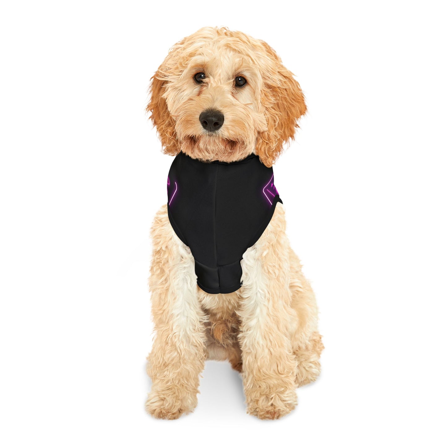 Trendy Pet Hoodie with Vibrant Design, Stylish Dog Apparel for All Seasons, Cute Gift for Dog Lovers, Perfect for Pet Fashion