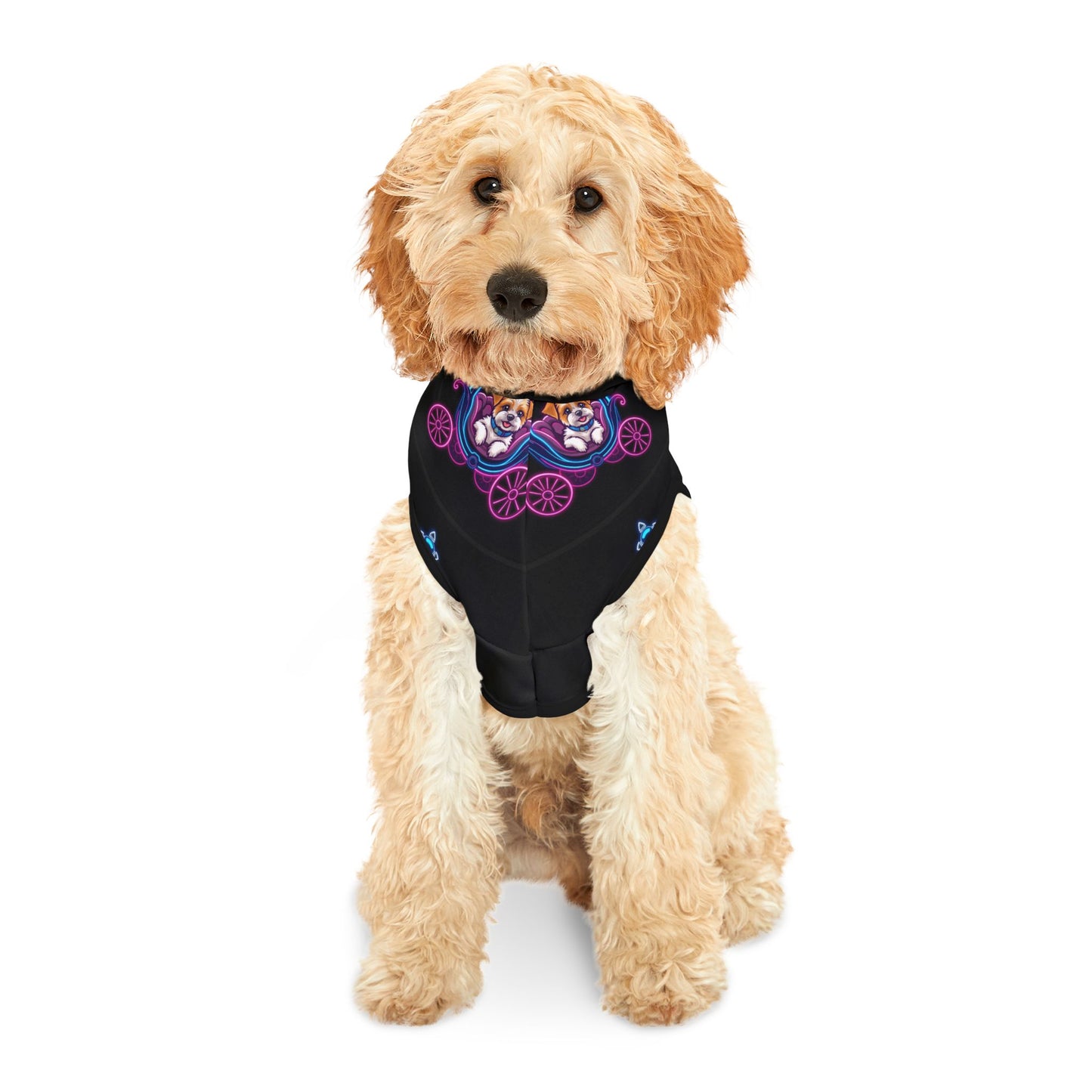 Stylish Pet Hoodie with Playful Carriage Design - Ideal for Fashionable Pets