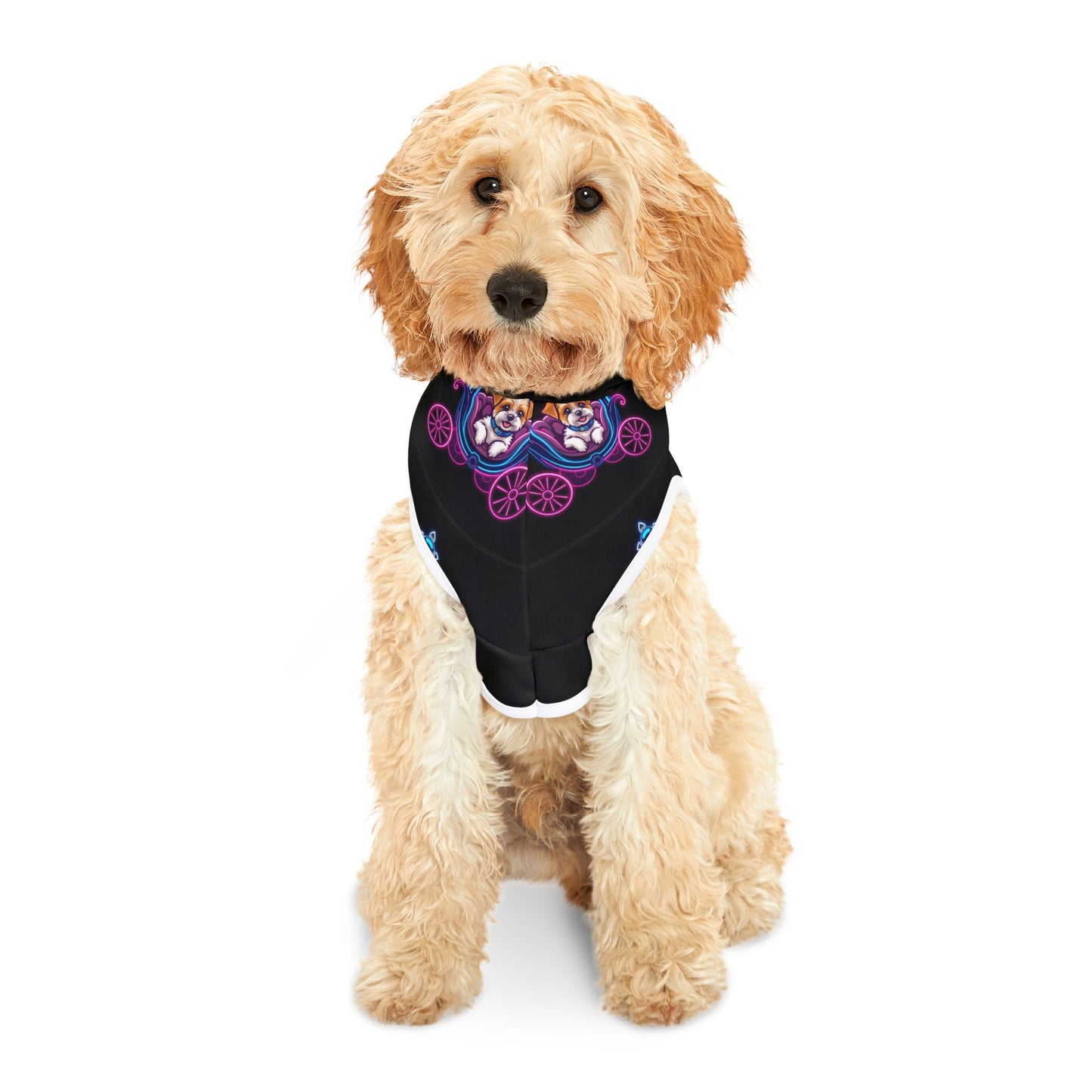 Stylish Pet Hoodie with Playful Carriage Design - Ideal for Fashionable Pets